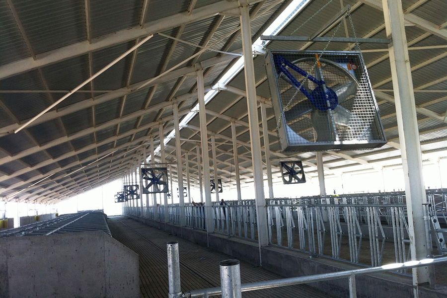 Hayvan Çiftliği Fanlı Serinletme Sistemi