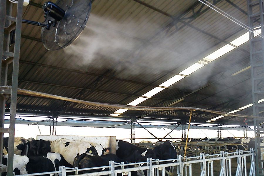 Hayvan Çiftliği Fanlı Serinletme Sistemi