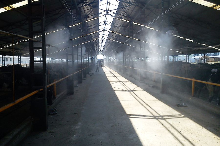 Hayvan Çiftliği Fanlı Serinletme Sistemi