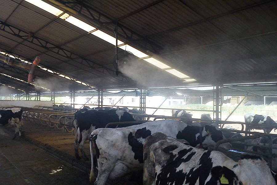 Hayvan Çiftliği Fanlı Serinletme Sistemi