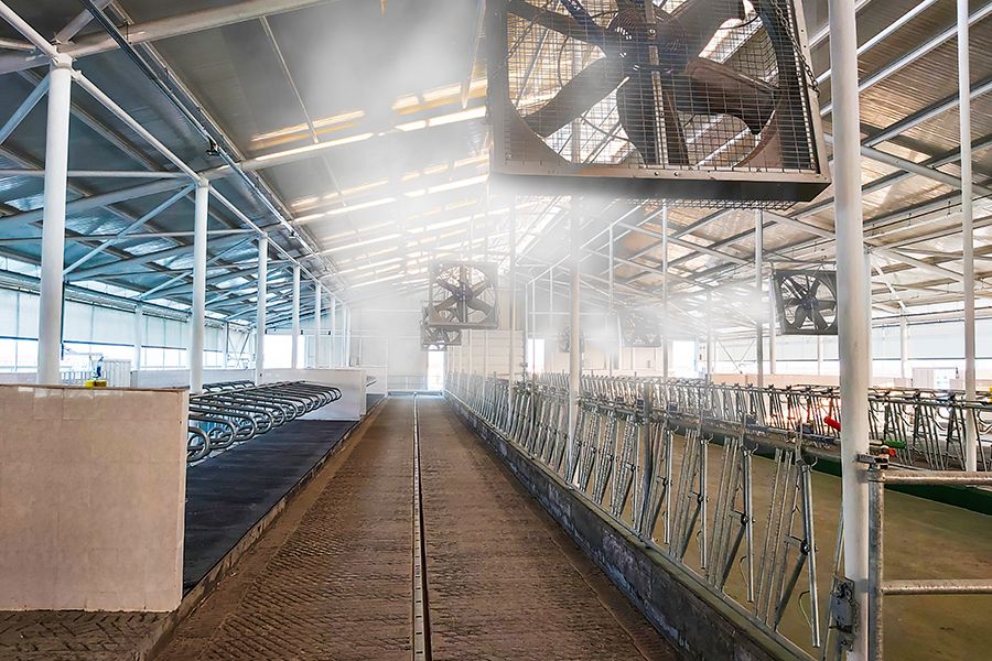 Hayvan Çiftliği Fanlı Serinletme Sistemi