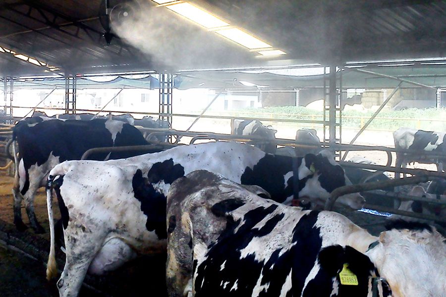 Hayvan Çiftliği Fanlı Serinletme Sistemi