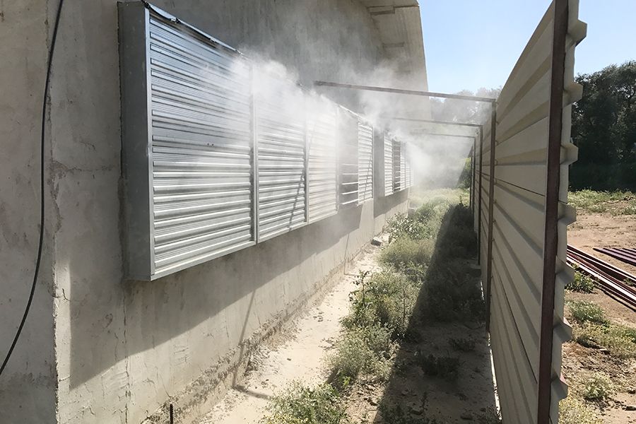 Tavuk Çiftliği Koku Bastırma